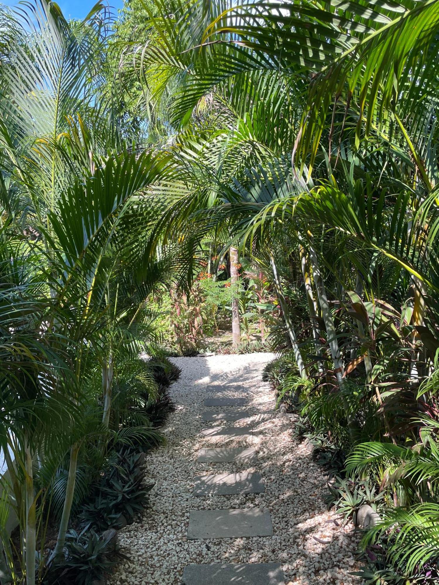 Ohana Villas Playa Santa Teresa  Exterior photo